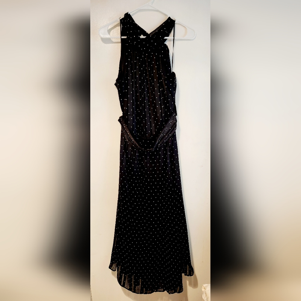 Sachin & Babi Dress